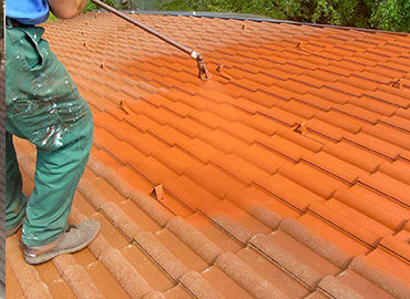 Démoussage et nettoyage  de toiture en Île-de-France.